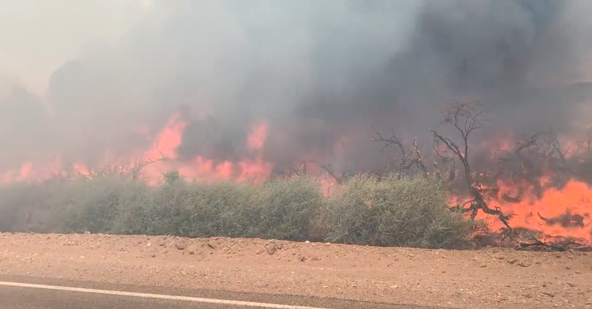 Critical fire condition warnings issued across US Southwest - Vimarsana News